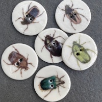 Assorted Beetles Medium Buttons